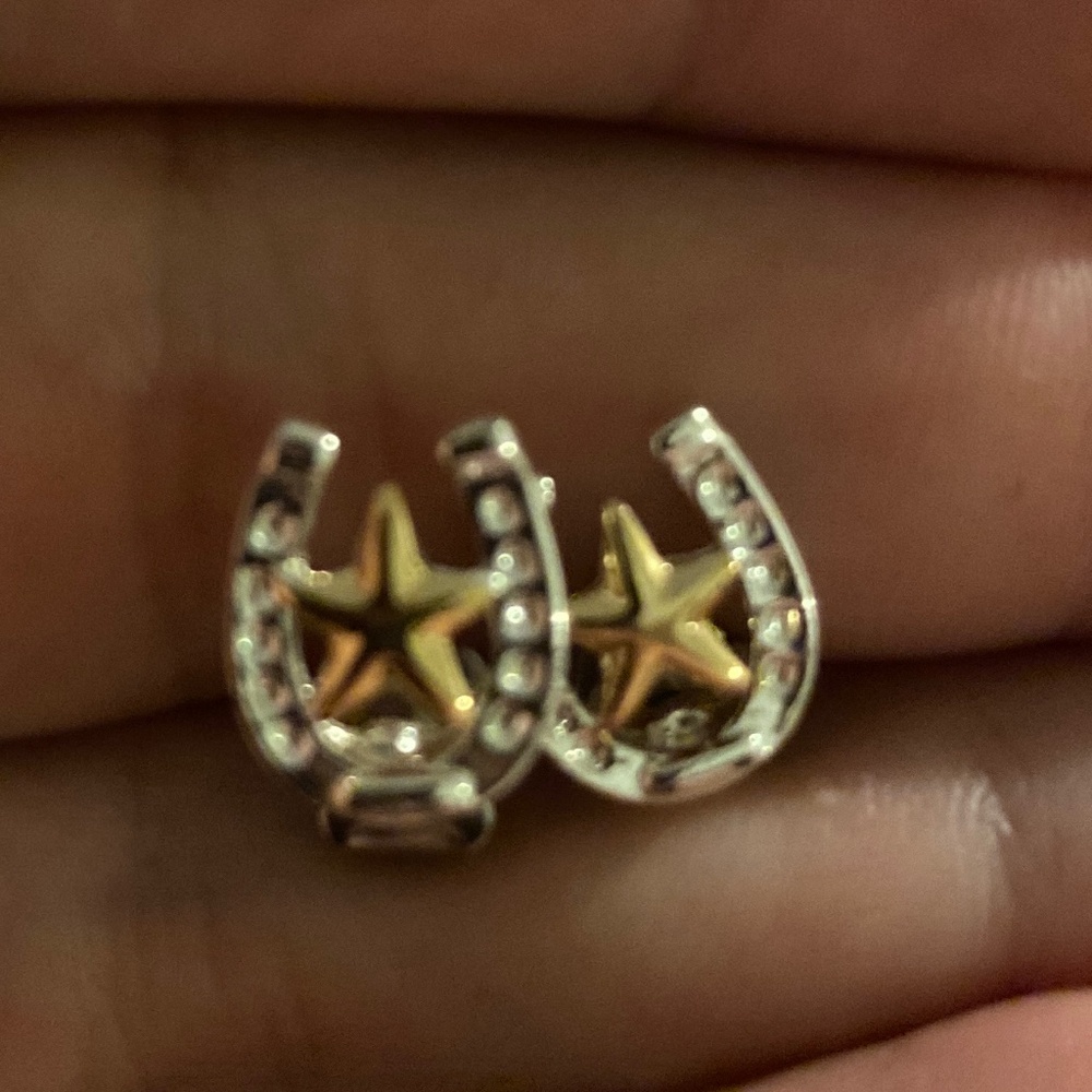 Montana silversmith earrings